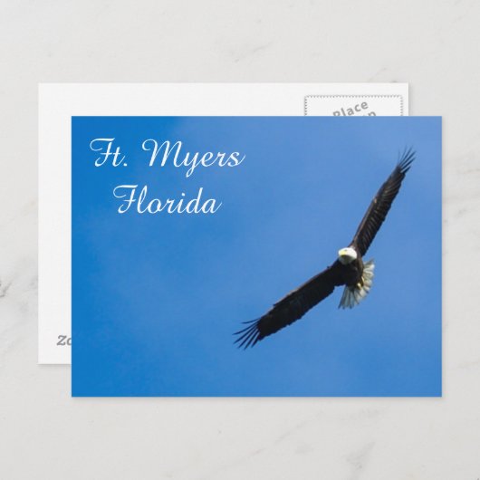 Vt. Myers Bald Eagle briefkaart (Voorkant / Achterkant)