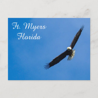 Vt. Myers Bald Eagle briefkaart
