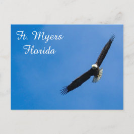 Vt. Myers Bald Eagle briefkaart