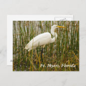 Vt. Myers briefkaart (Voorkant / Achterkant)