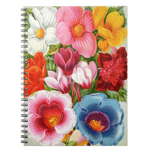 VTG Botanique Begonias & Gloxinias Carnet Spiral (Devant)