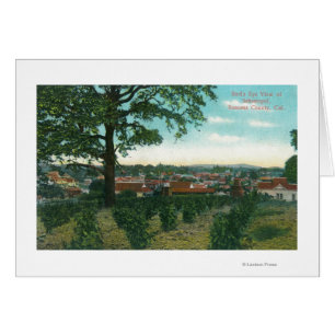 Vue aérienne de TownSebastopol, CA