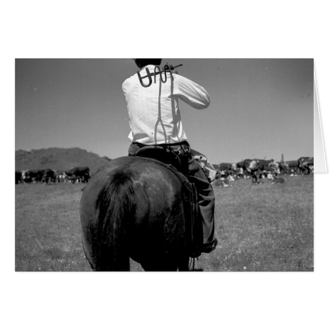 Vue arrière d'un cowboy sur un cheval avec deux (Devant horizontal)