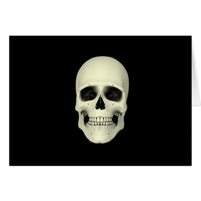 Vue Avant Du Crâne Humain (Devant horizontal)