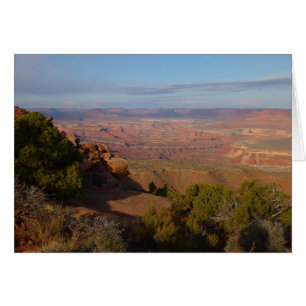 Vue de Canyonlands depuis le Grand View Point Trai
