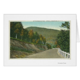 Vue de la piste Mohican