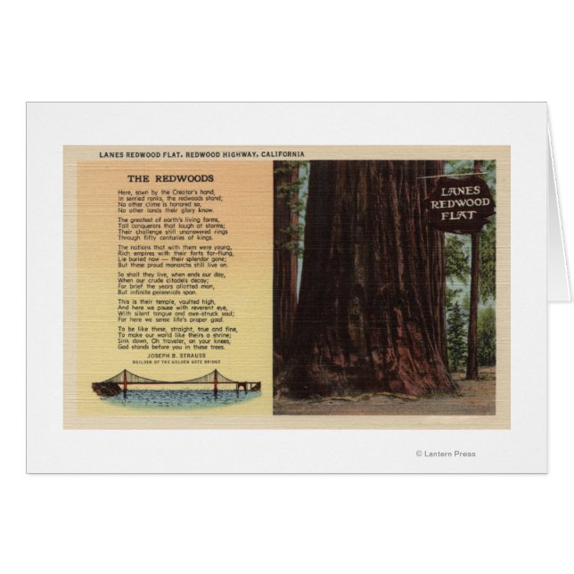 Vue de Lanes Redwood Flat (Devant horizontal)