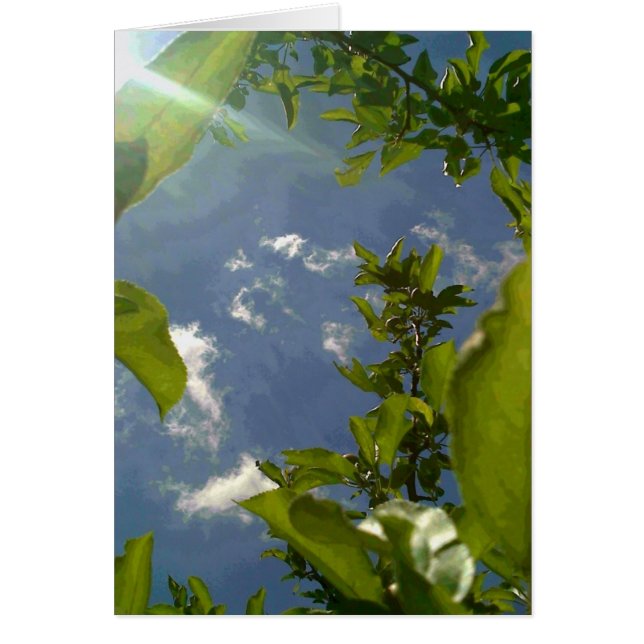 Vue de l'arbre Apple (Devant)