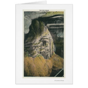 Vue de l'organe de tuyau