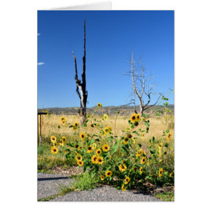 Vue de MESA Verde