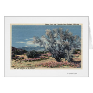 Vue de Mt. San Gorgonio, arbres de fumée