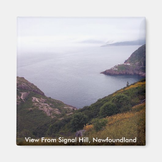 Vue de Signal Hill 1 Magnet (Devant)
