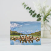 Vue De Versailles, France, Carte Postale (Debout devant)