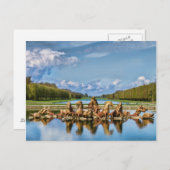 Vue De Versailles, France, Carte Postale (Devant / Derrière)