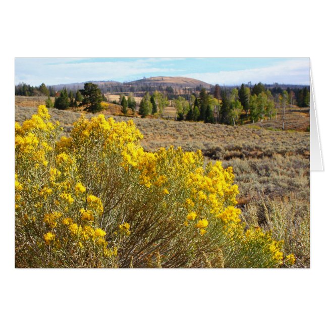 Vue de Yellowstone (Devant horizontal)