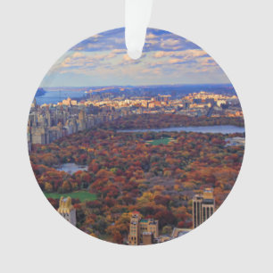 Vue d'en haut : Automne à Central Park 01