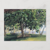 'Vue depuis la cabane' - Carte postale John LaFarg (Devant)