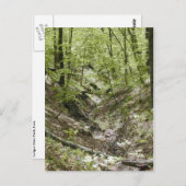 Vue des cartes postales du pont Ledges (Devant / Derrière)