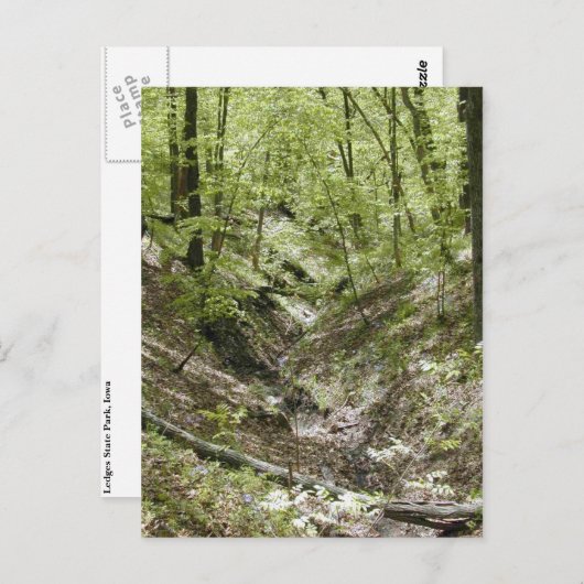 Vue des cartes postales du pont Ledges (Devant / Derrière)