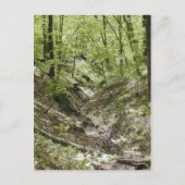 Vue des cartes postales du pont Ledges (Devant)