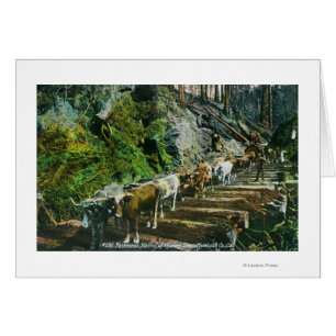 Vue des journaux de montage des équipes d'ox