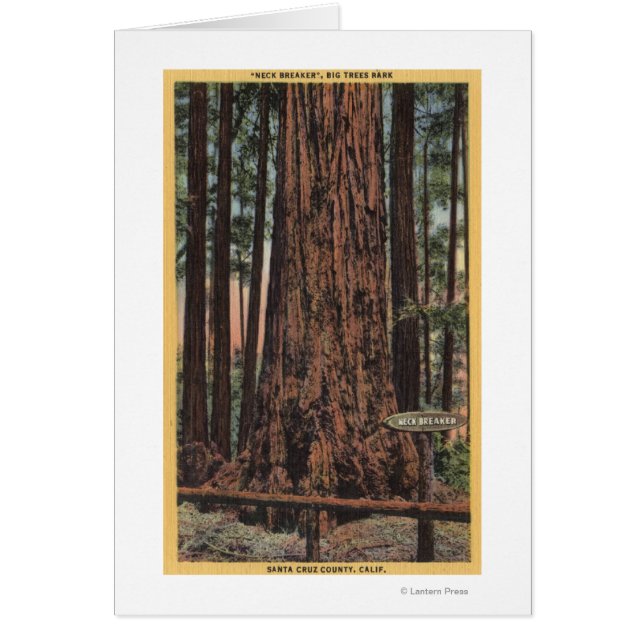 Vue du "brise-cou" à Big Trees Park (Devant)