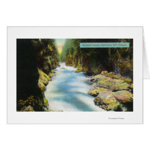 Vue du canyon Seymour