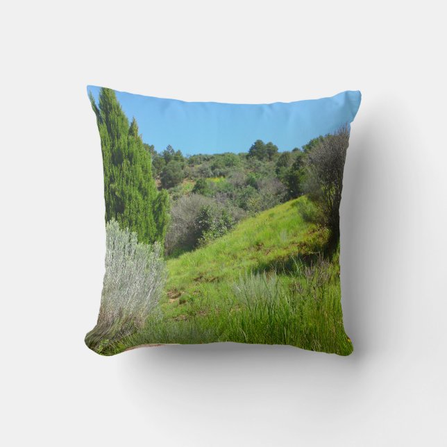 Vue du Coussin vert (Recto)