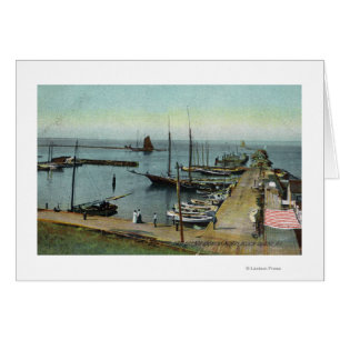 Vue du nord depuis East Harbour