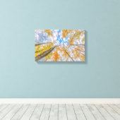 Vue du sol de la forêt toile étirée (Insitu (Plancher de Bois))