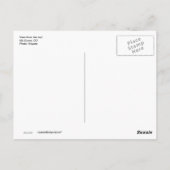 Vue du sommet de la carte postale Mt. Evans (Dos)