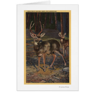 Vue d'un mâle et d'une daine sauvages