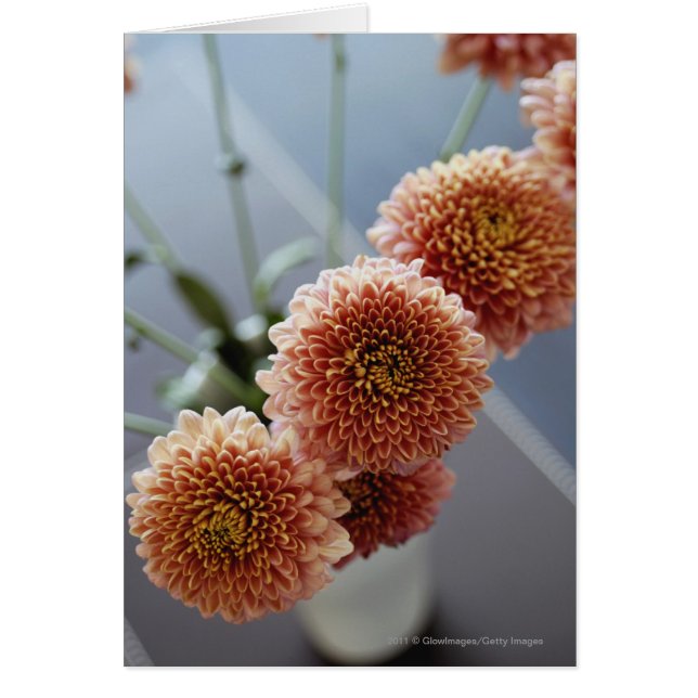 Vue en angle élevé des fleurs dans un vase (Devant)
