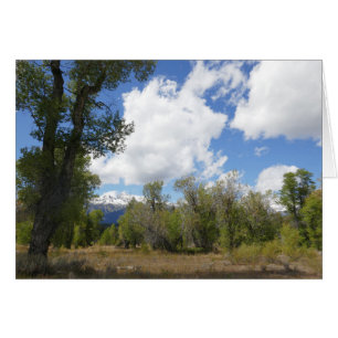 Vue ensoleillée de la montagne Grand Teton
