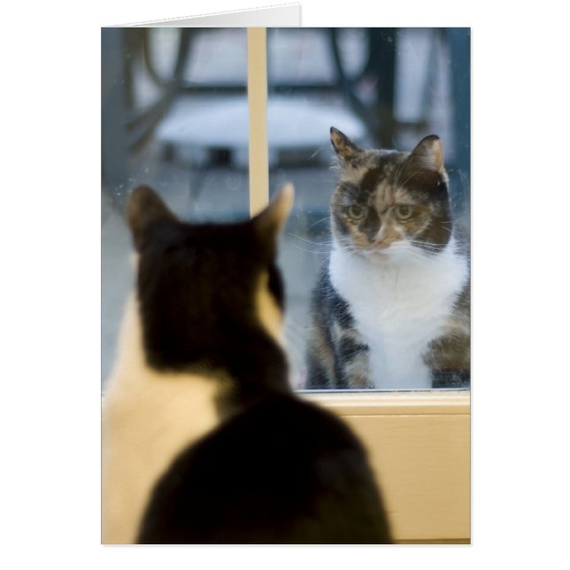 Vue Extérieure (Devant)