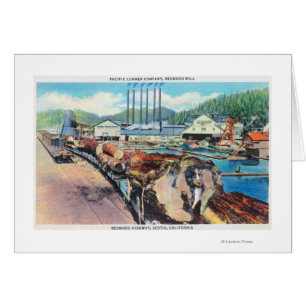 Vue extérieure de Pacific Lumber Co, Redwood