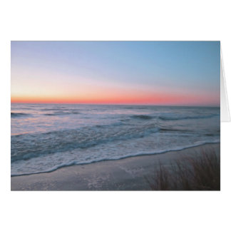 Vue frontale sur la plage