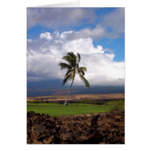 Vue hawaïenne de terrain de golf