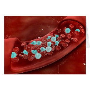 Vue Microscopique De La Cloture Du Sang
