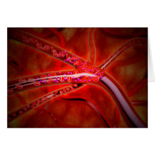 Vue Microscopique De La Médecine Injectée