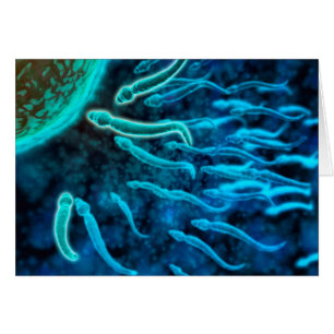 Vue microscopique de la natation de sperme vers