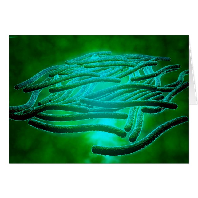 Vue Microscopique De Legionella Pneumophila 1 (Devant horizontal)