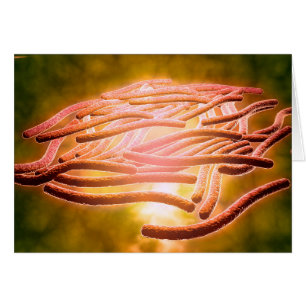 Vue Microscopique De Legionella Pneumophila 2