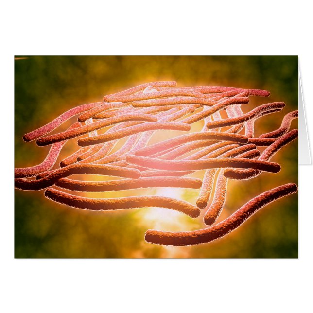 Vue Microscopique De Legionella Pneumophila 2 (Devant horizontal)