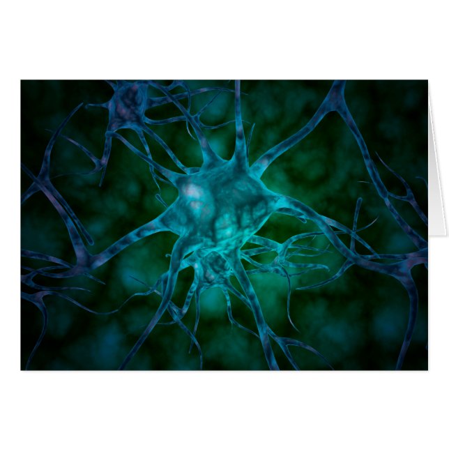 Vue Microscopique De Plusieurs Cellules Nerveuses  (Devant horizontal)