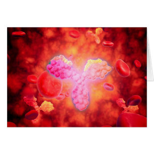 Vue Microscopique Des Anitcorps Humains