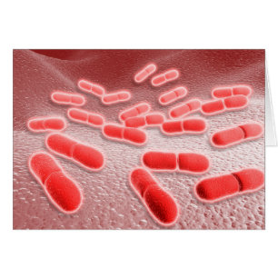 Vue microscopique des monocytogènes 4 de Listeria