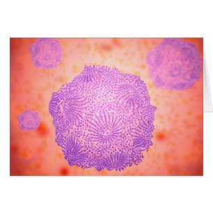 Vue Microscopique Du Parvovirus Canin 2