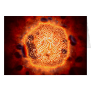 Vue Microscopique Du Parvovirus Canin 4