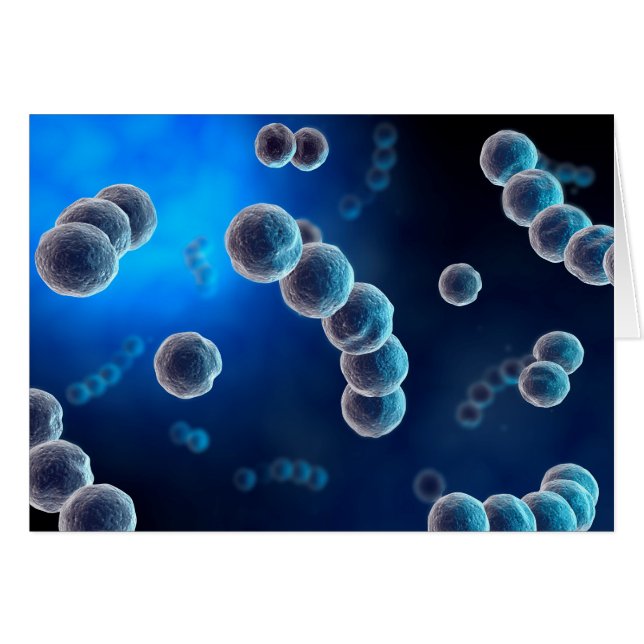 Vue Microscopique Du Streptocoque 2 (Devant horizontal)